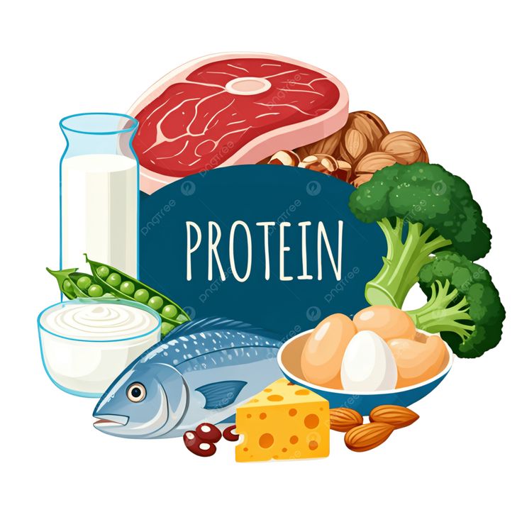 Proteiin ja valgupulbrid